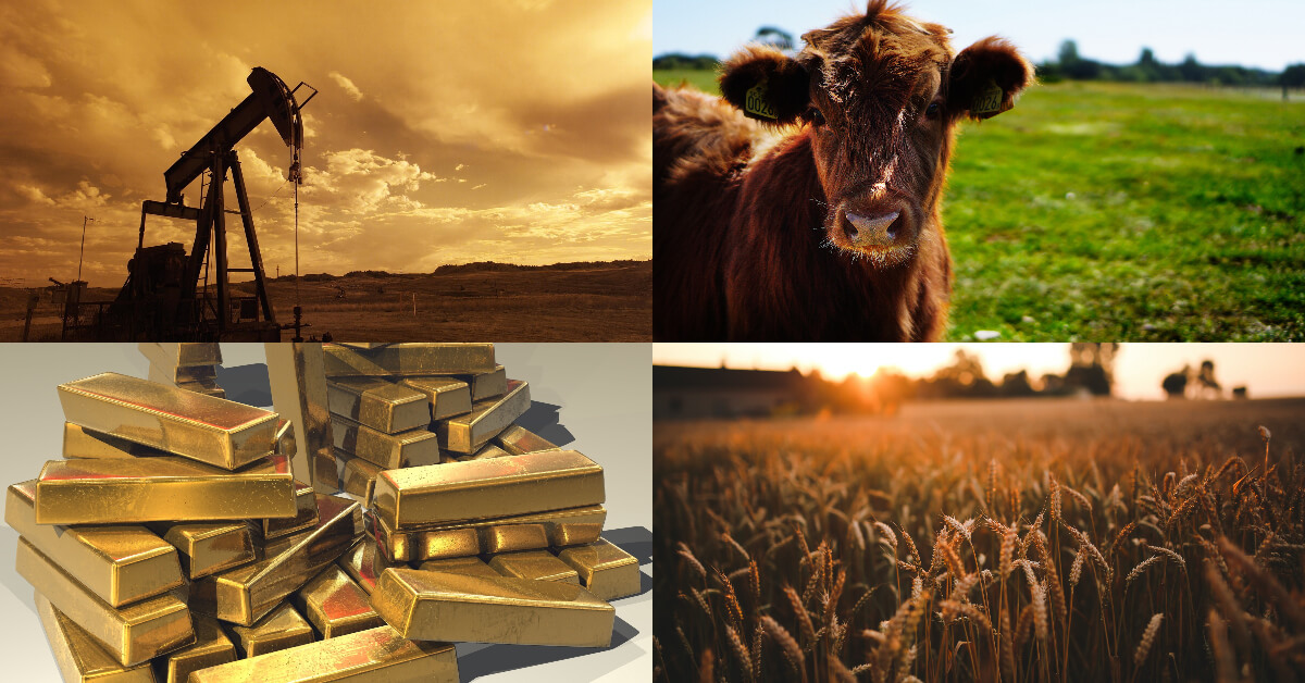 a picture of commodities such as oil, gold, wheat and cattle
