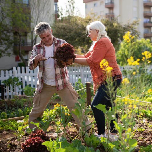 a retired group gardening